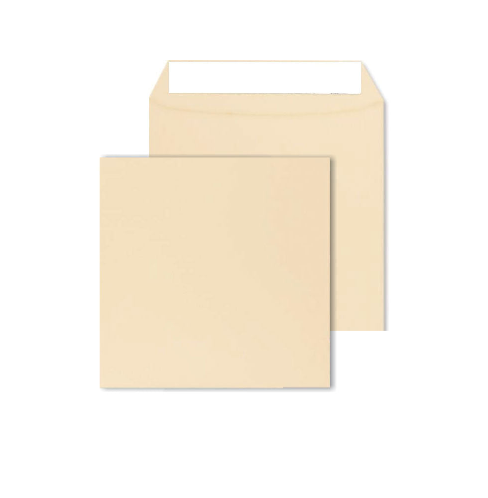220 x 220mm Cascade Vanilla Peel & Seal Wallet 5500